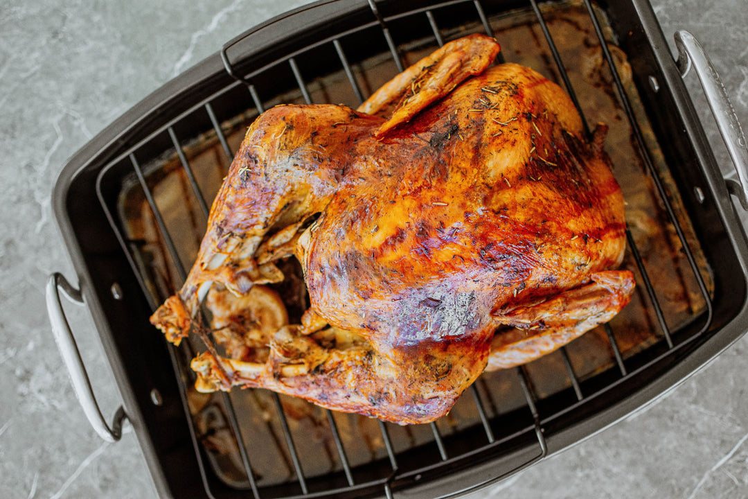 turkey in a roasting pan